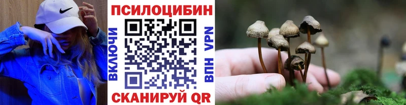 мега зеркало  Тында  Псилоцибиновые грибы GOLDEN TEACHER  купить наркотик 